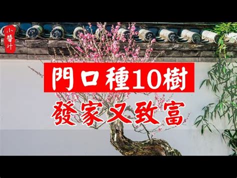 松柏 風水|【門口種松柏】庭院門口的鎮宅之樹：松柏，種對了財運旺不停